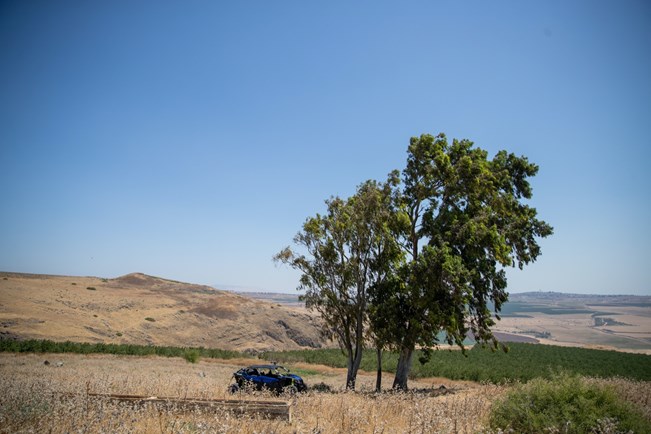 מסלול מאבריק – מעיינות ושבילים מהירים ברמת סירין - טיול 5 מתוך 5 בסדרת טיולים עבור צל