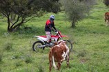 210223-gasgas-347.jpg