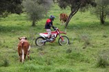 210223-gasgas-348.jpg