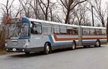 11-sg_192_gelenkbus_1974_878x659_jpg.jpg