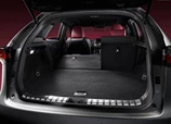 Lexus-NX-2015-08.jpg
