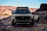 MazdaCX-50_08_ZirconSand.jpg