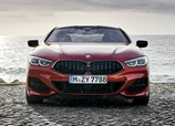 BMW-8-Series_Coupe-2019-03.jpg