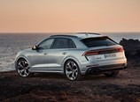 Audi-Q8-2020-13.jpg