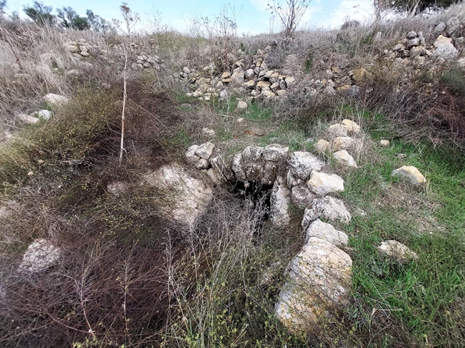 אוטו מטייל: מיער חרובית לבית גוברין (עבירות: קל)