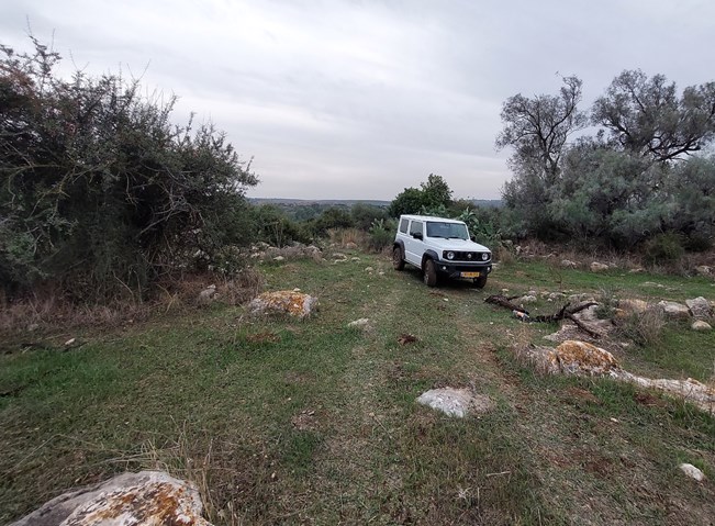 אוטו מטייל: מיער חרובית לבית גוברין (עבירות: קל)