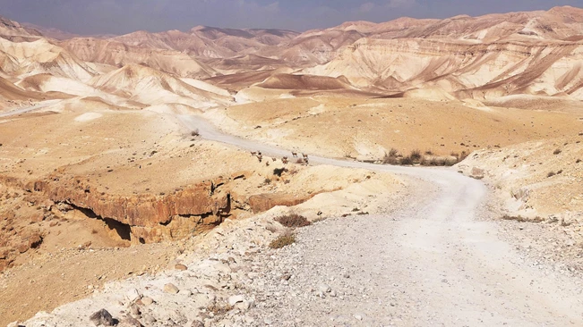 אוטו מטייל: ממצוקי דרגות לרוג'ום א-נאקה (עבירות: בינונית)