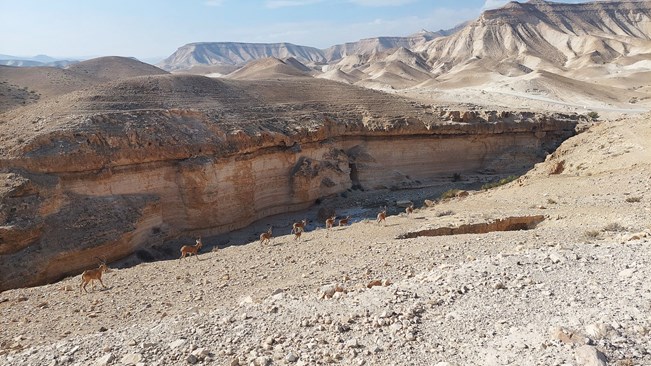 אוטו מטייל: ממצוקי דרגות לרוג'ום א-נאקה (עבירות: בינונית)