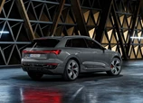 Audi-Q8_e-tron_quattro-2023-02.jpg