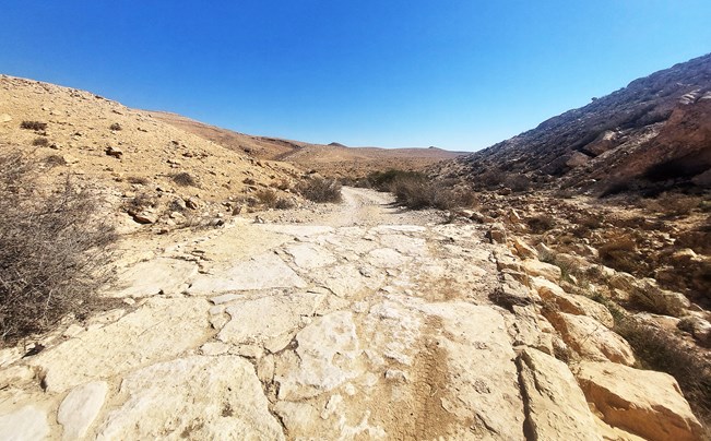 טיול מכתש רמון, הר הנגב ונחל ערוד