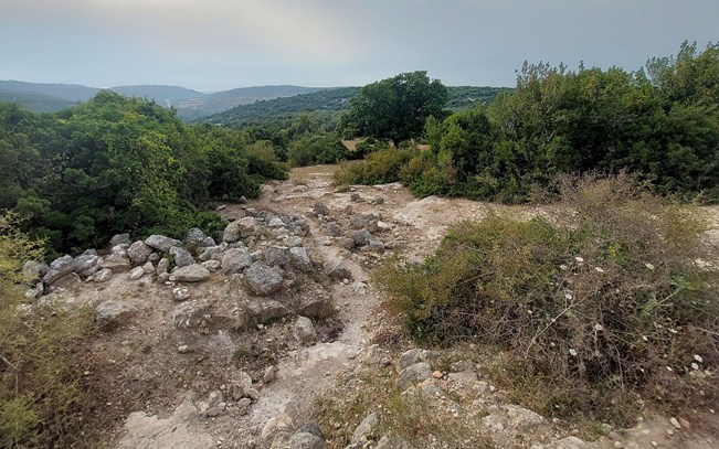 ההר הירוק כל ימות השנה