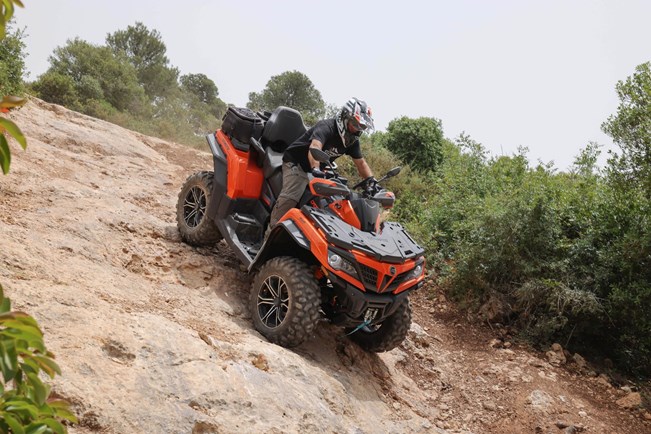 CFmoto נתונים