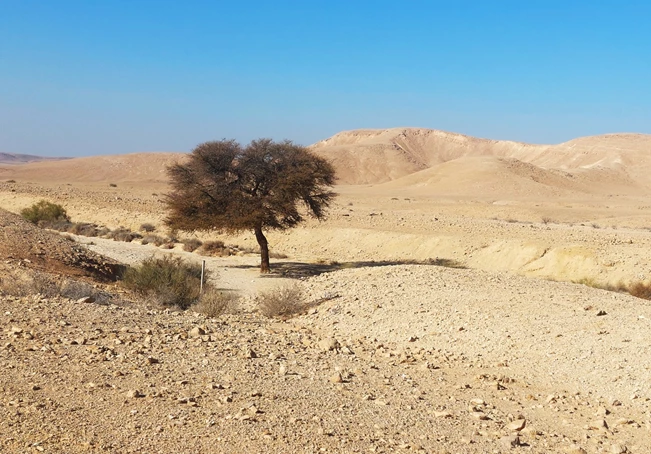 אוטו מטייל / מבקעת עובדה לבאר אורה