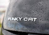 Ora-03-Funky-Cat-2024-11-RT.jpg