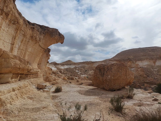 בקעת צין, משדה בוקר לגב זרחן והר צין