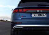 Audi-Q8-2024-10.jpg