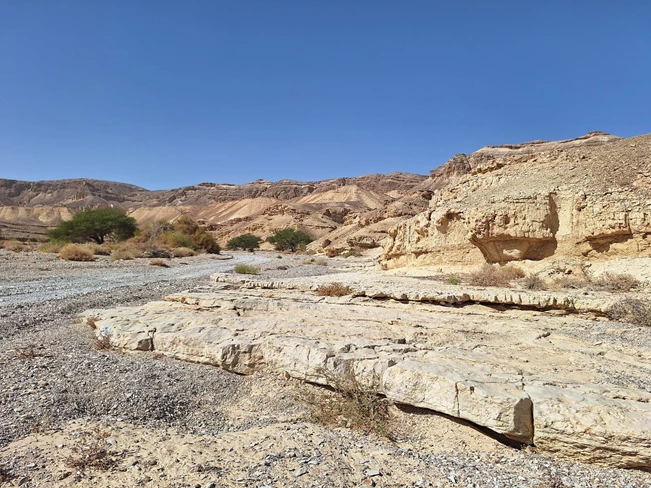 אוטו מטייל: נחל יעלון, מיהל לנאות סמדר