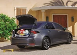 Toyota-Corolla_Sedan-2025 (1).jpg
