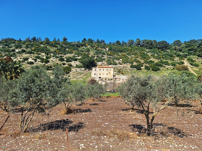 אוטו מטייל – מנחל ציפורי לנווה יער