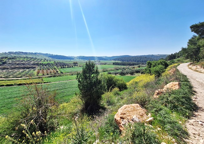 אוטו מטייל – מנחל ציפורי לנווה יער