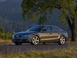 Audi-A4 1.jpg